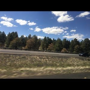 Meet your Posher, Marlene